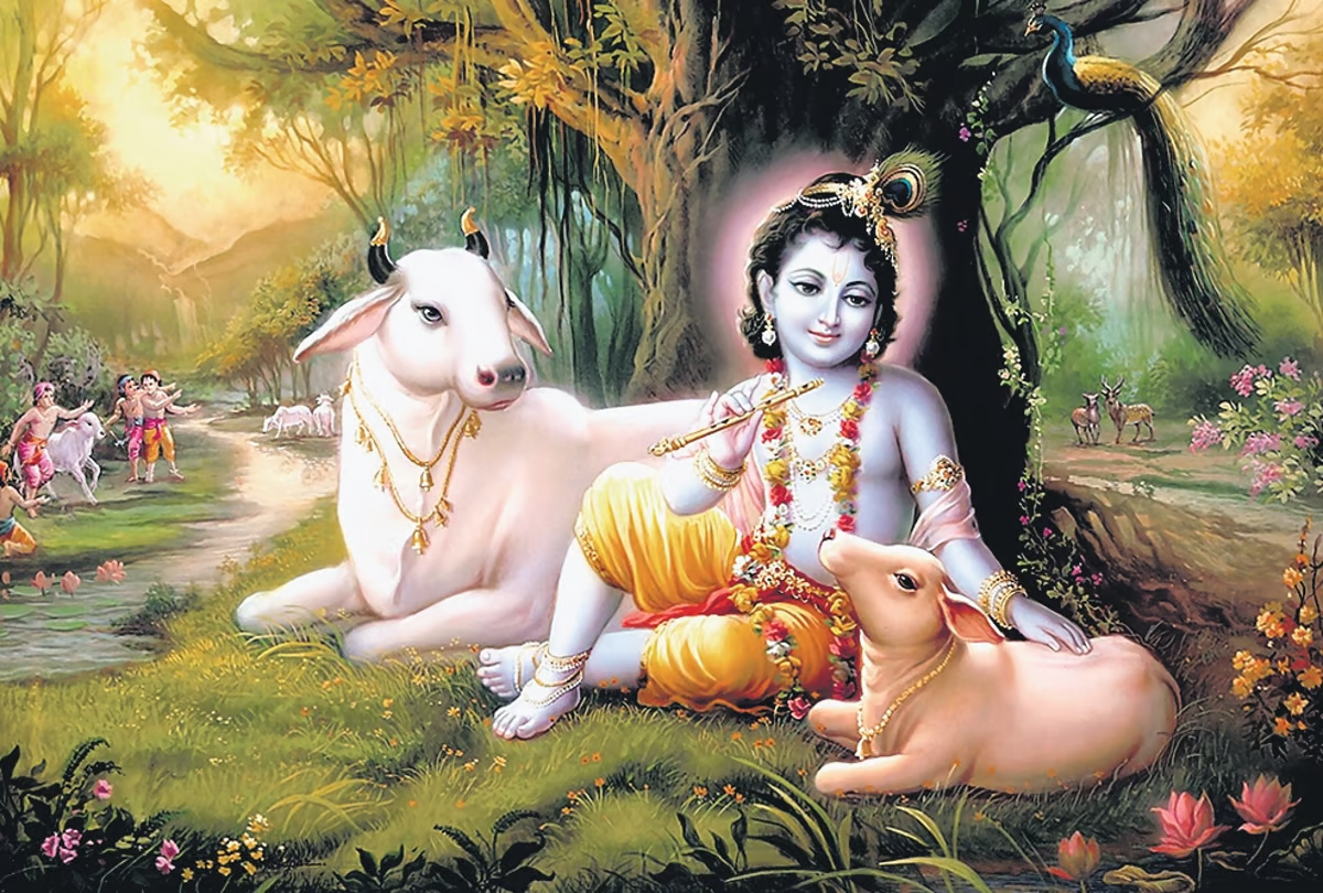 ಆಕರ್ಷಣೆಯ ಕೇಂದ್ರ ಬಿಂದು ಯಾರು?