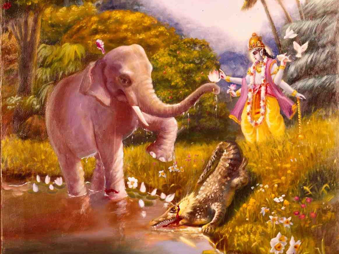 ಗಜೇಂದ್ರ ಎಂಬ ಆನೆಯ ಸಂಕಷ್ಟ