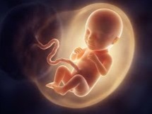 ಭ್ರೂಣ ಹತ್ಯೆ ಸರಿಯೇ?