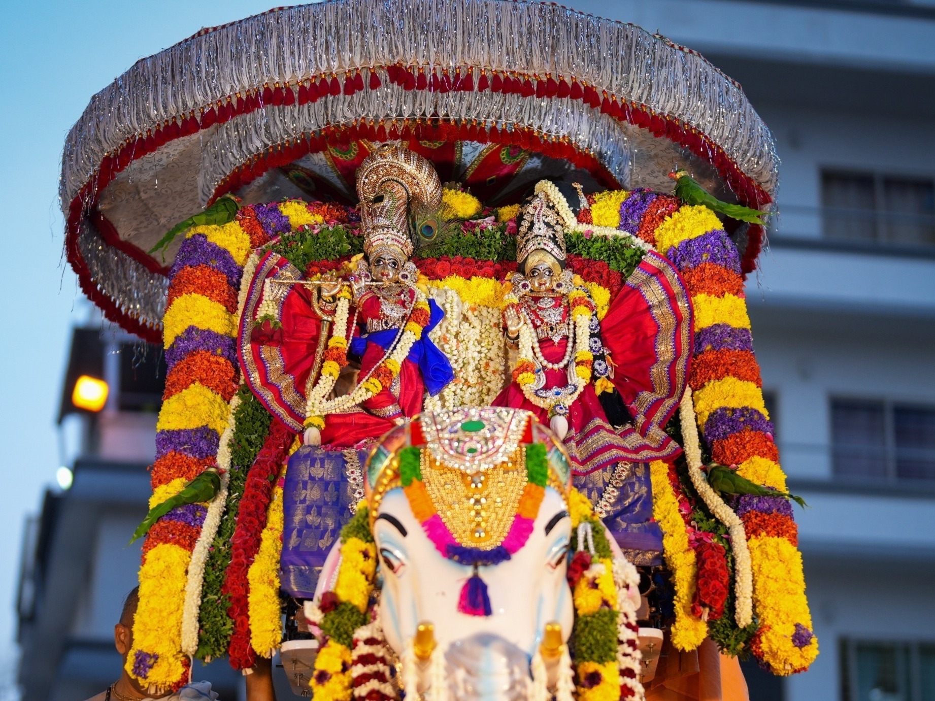 ಬ್ರಹ್ಮೋತ್ಸವ – ಗಜ ವಾಹನ