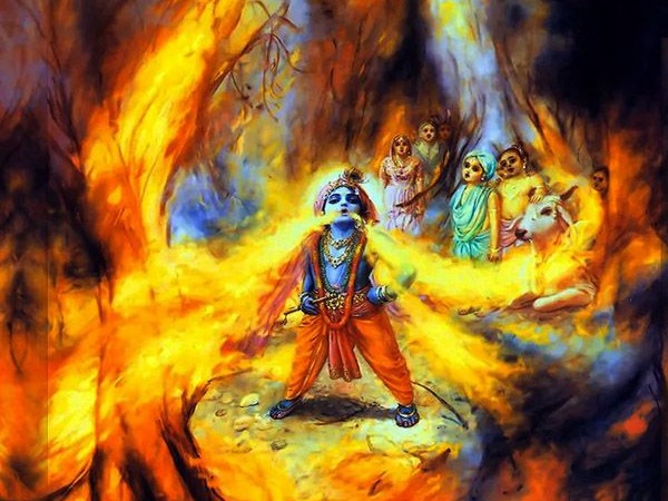 ಕೃಷ್ಣ ಕಾಳ್ಗಿಚ್ಚು ನುಂಗಿದ್ದು!