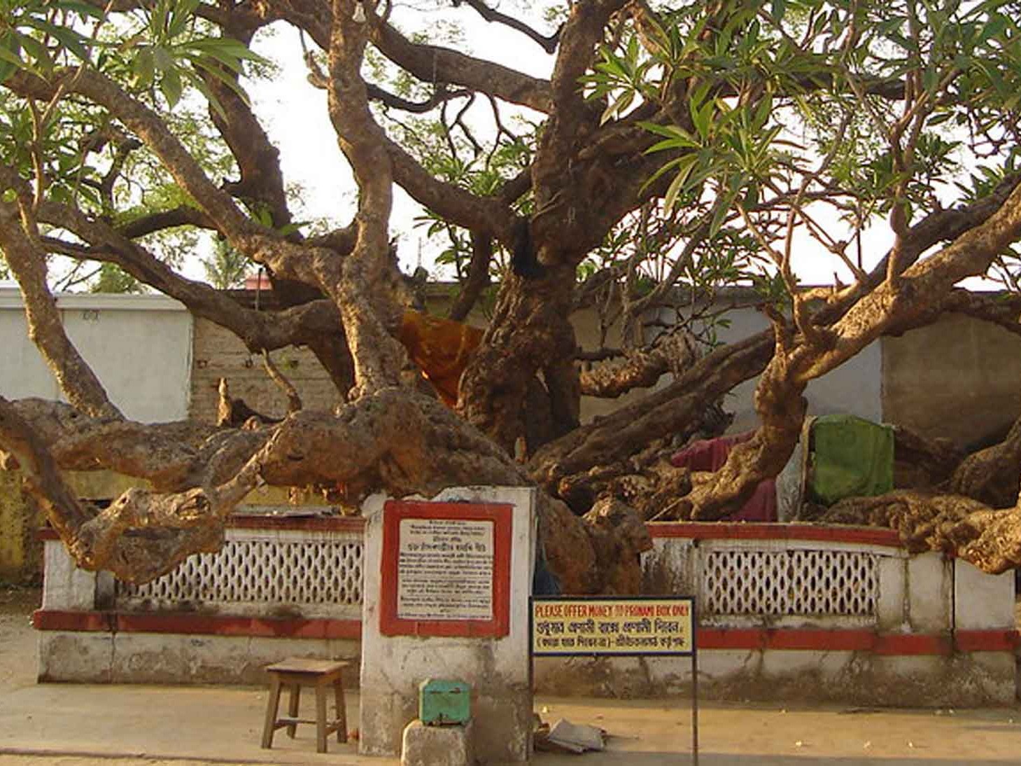 ನವದ್ವೀಪ ಪರಿಕ್ರಮ – 2